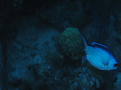 IMG_1048.JPG
