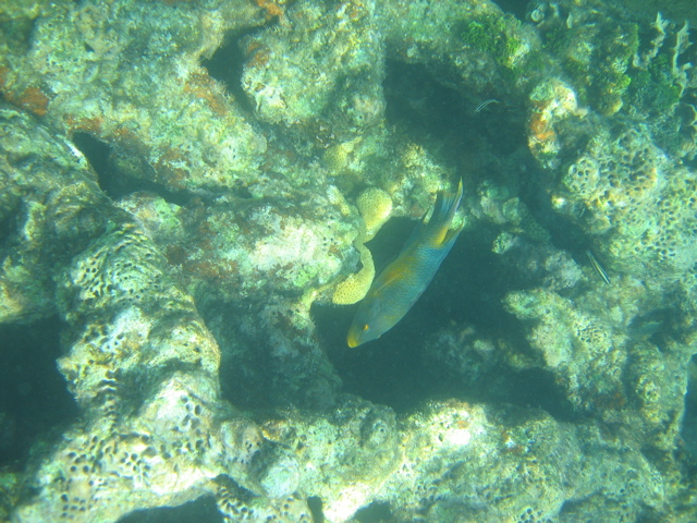 IMG_1107.JPG