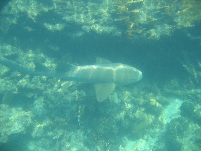 IMG_1111.JPG