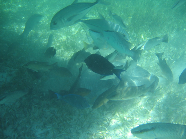 IMG_1128.JPG