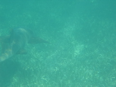 IMG_1096.JPG