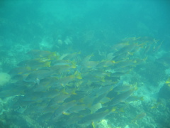 IMG_1106.JPG