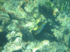 IMG_1107.JPG