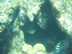 IMG_1108.JPG
