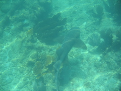 IMG_1109.JPG