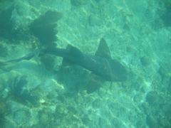 IMG_1110.JPG