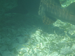 IMG_1114.JPG