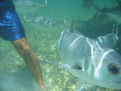 IMG_1117.JPG