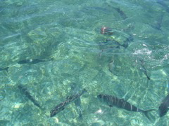 IMG_1124.JPG
