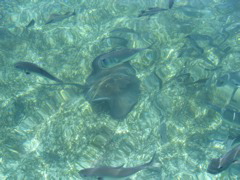 IMG_1126.JPG