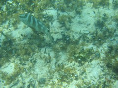 IMG_1098.JPG