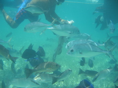 IMG_1138.JPG