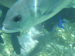 IMG_1140.JPG