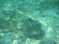 IMG_1099.JPG