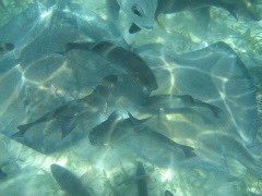 IMG_1144.JPG