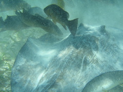 IMG_1145.JPG