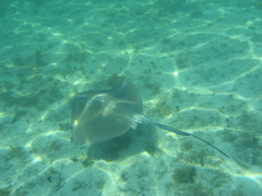 IMG_1100.JPG