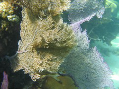 IMG_1101.JPG