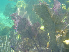IMG_1102.JPG