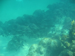 IMG_1103.JPG