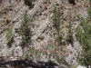 somaria_gorge10.jpg