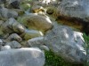 somaria_gorge3.jpg