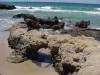 crete4.jpg