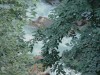 rugova1.jpg