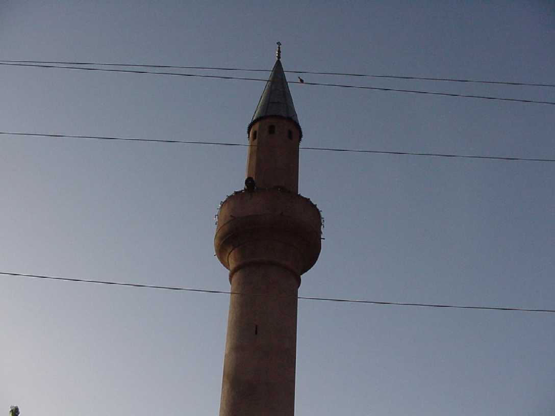 mosque.jpg, 28625 bytes, 7/3/01