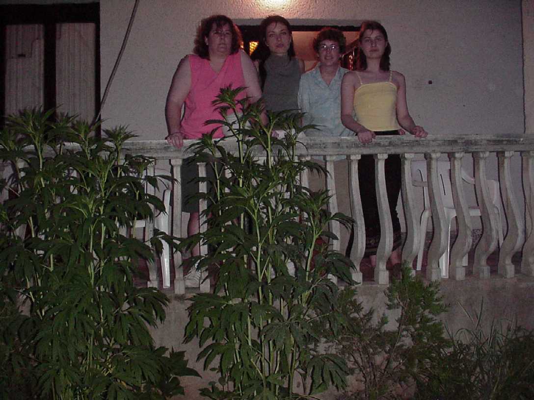 us_at_kucis.jpg, 92023 bytes, 7/3/01